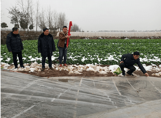 冰雪灾害天气如何应对？专家给你支招